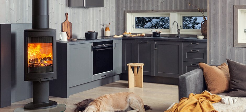 Jøtul F 373 Advance wood stove in black cast iron in a living room with a dog in front.